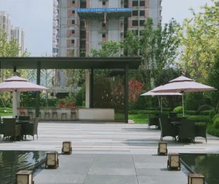 实景图