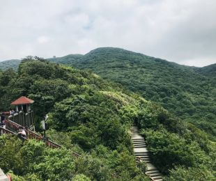 配套图