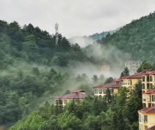实景图